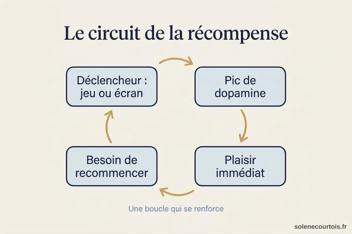 Le circuit de la récompense Infographie de la boucle de la récompense : déclencheur, dopamine, plaisir immédiat, besoin de recommencer